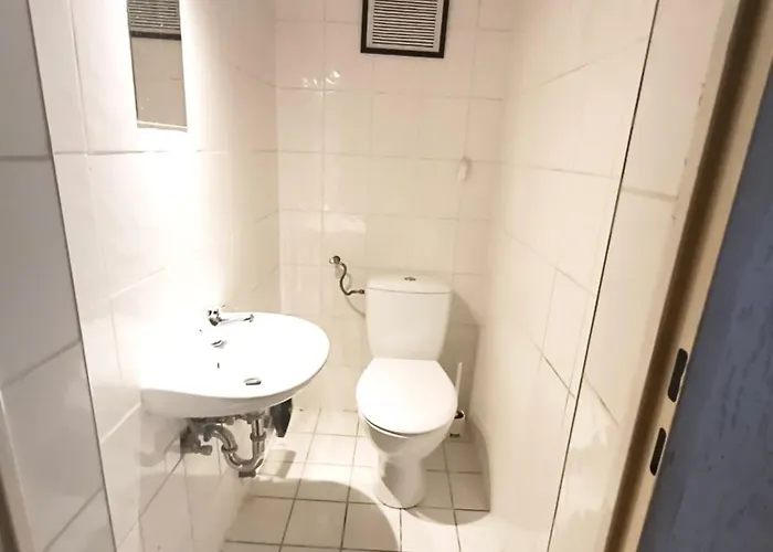 דירה Working Professionals Flat